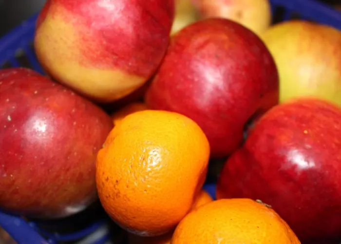 Legend Hotel Biebesheim am Rhein