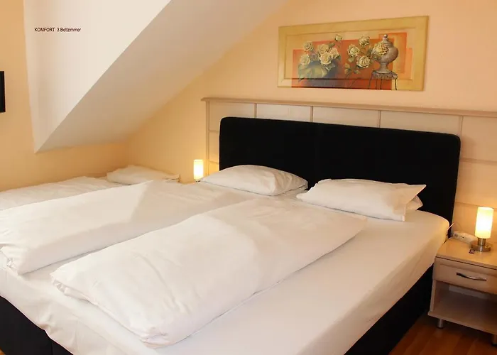 酒店 飞天大酒店 3*