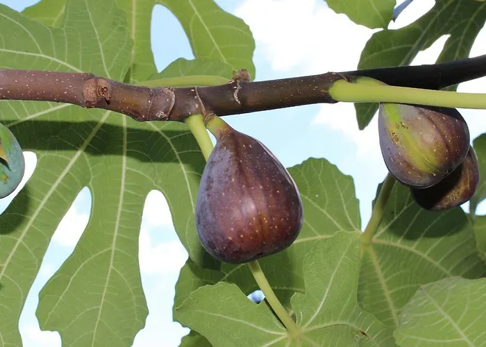 酒店 飞天大酒店